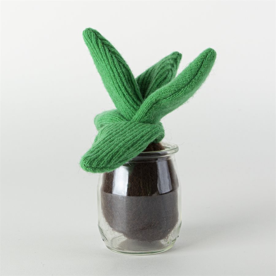 Woollen decoration - Plants for dummies 1