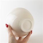 Sfumato Meal Bowl Sepia