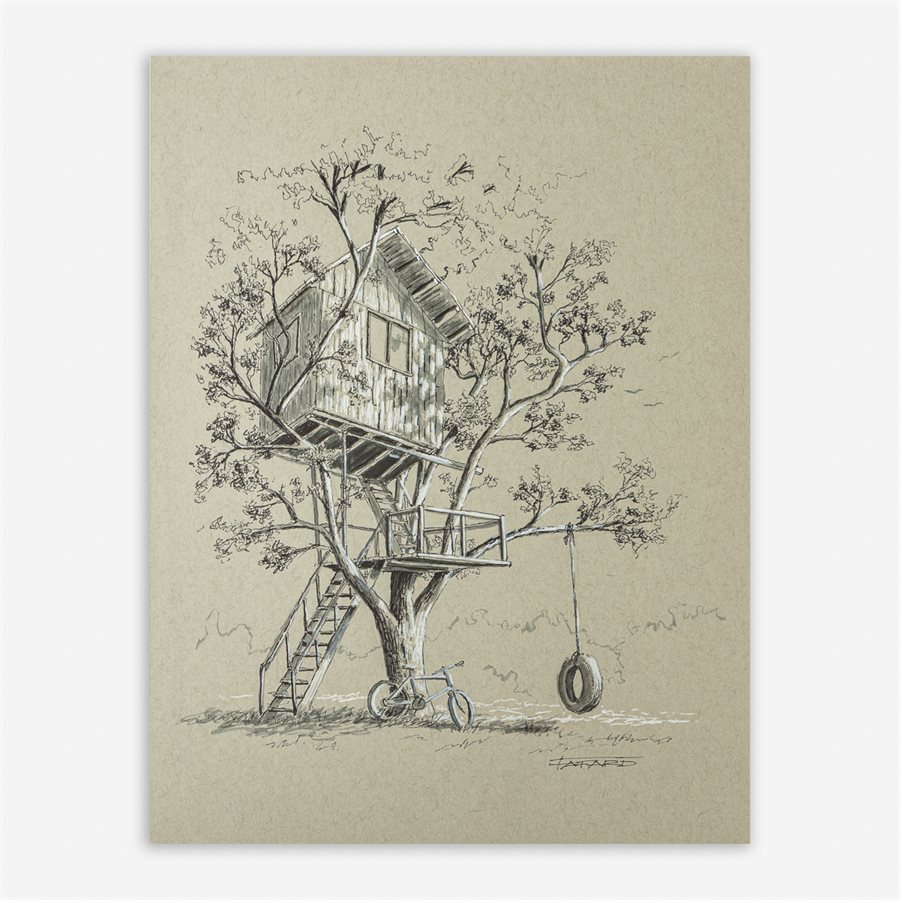 The Shelter The Shelter