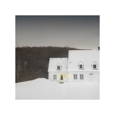 Sous la neige, les secrets feutrés Sous la neige, les secrets feutrés