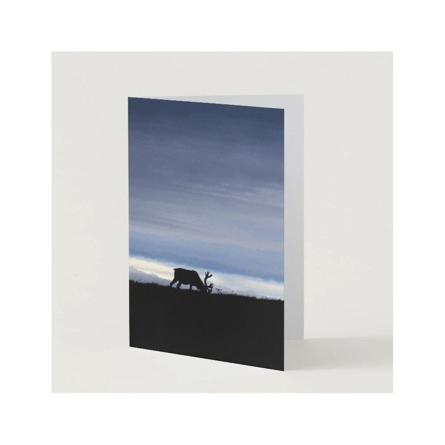 Carte de souhaits - Silhouette de caribou mâle