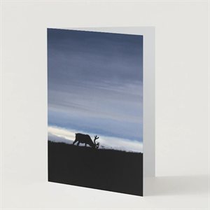 Greeting Card - Silhouette of a Male Caribou