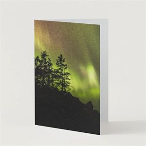 Greeting Card - Aurora Borealis and Conifers