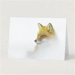 Greeting Card - Gentle Gaze of a Red Fox