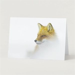 Greeting Card - Gentle Gaze of a Red Fox