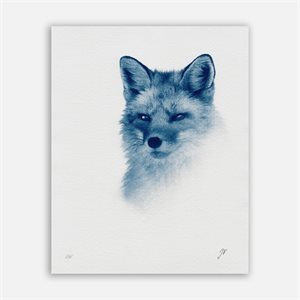 Red Fox – Cyanotype Photograph (Unframed)