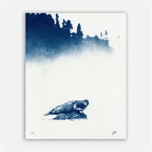 Phoque commun – Photographie cyanotype non encadrée