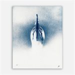 Fou de Bassan – Photographie cyanotype non encadrée