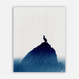 Cormorant – Cyanotype Photograph (Unframed)