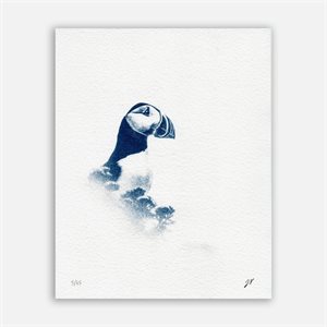 Atlantic Puffin – Cyanotype Photograph (Unframed)