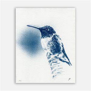 Ruby-throated Hummingbird – Cyanotype Photograph (Unframed)