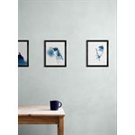 Colibri à gorge rubis – Photographie cyanotype non encadrée