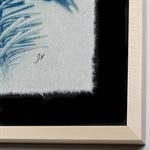 Colibri à gorge rubis – Photographie cyanotype sur papier Washi encadrée en tilleul