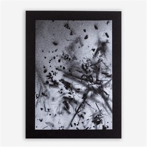 Glaner le littoral 2 - Non encadré