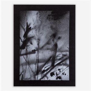 Glaner le littoral 4 - Non encadré