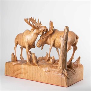 Moose fight