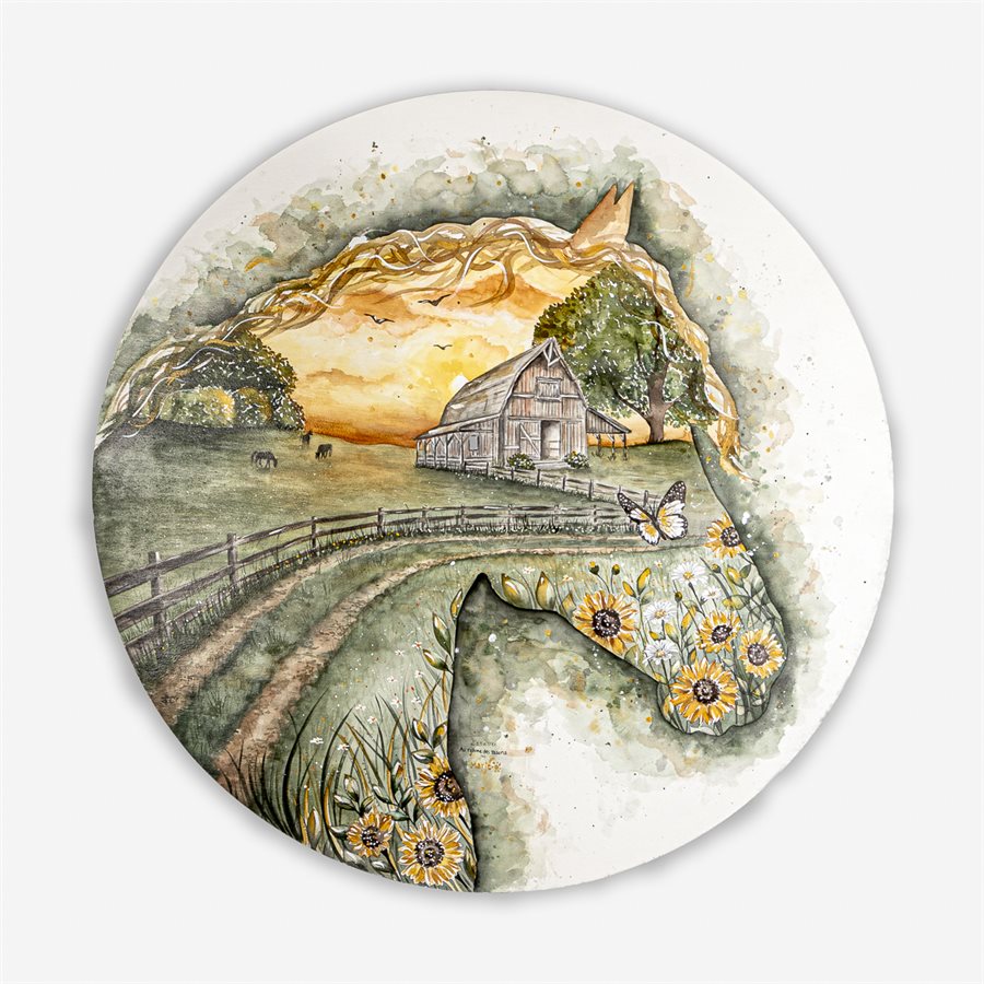 Haven of Peace Haven of Peace