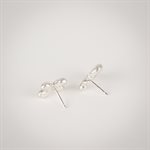 Clou d'oreille Chromosome