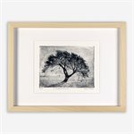 The Venerable of the Isle The Venerable of the Isle