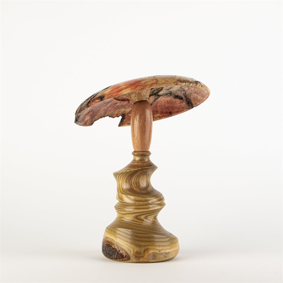 Sculpture artisanale en bois – champignon décoratif en vinaigrier et érable négondo Sculpture artisanale en bois – champignon décoratif en vinaigrier et érable négondo