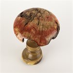 Sculpture artisanale en bois – champignon décoratif en vinaigrier et érable négondo