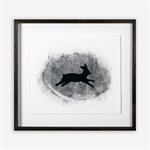 Liber abaci, 1 lièvre