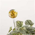 Flame shaped glass plant aerator