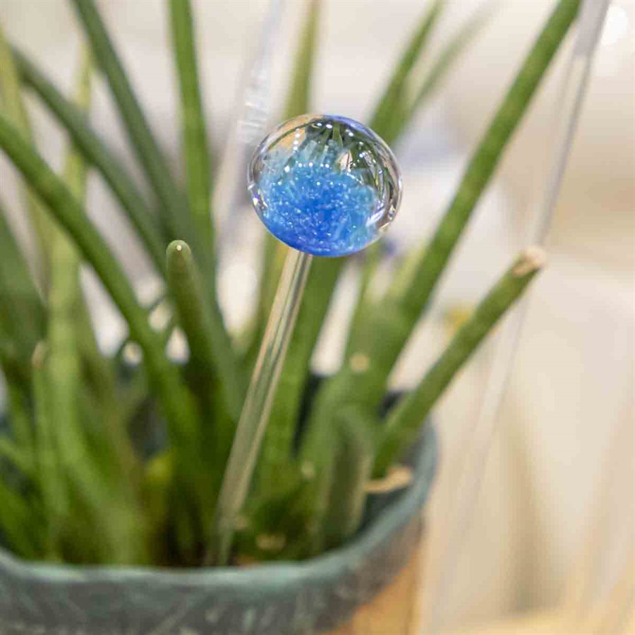 Aérateur à plante en verre façonné à la flamme