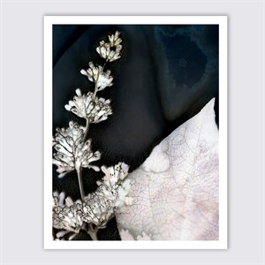 Night white