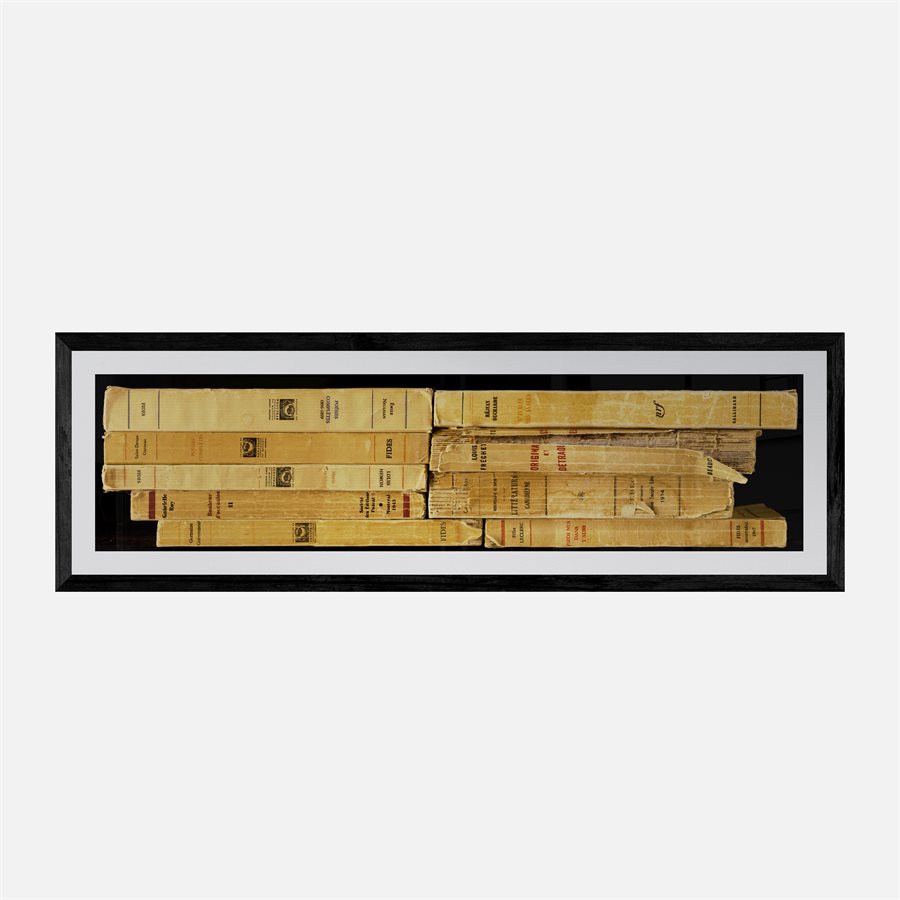 Vanitas : Littérature I