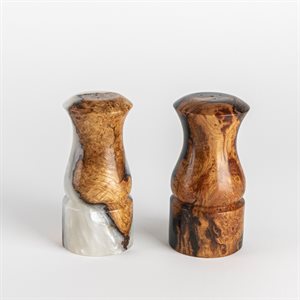 Ensemble petite salière et poivrière en bois et en résine - 1